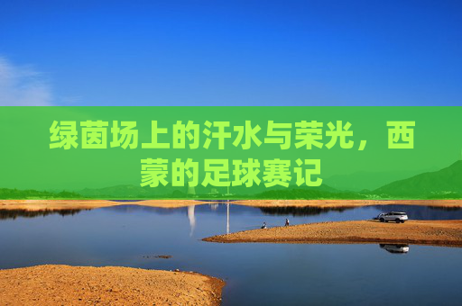 绿茵场上的汗水与荣光,西蒙的足球赛记
