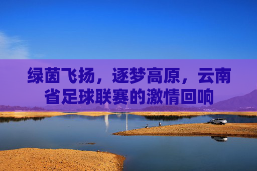 绿茵飞扬，逐梦高原，云南省足球联赛的激情回响