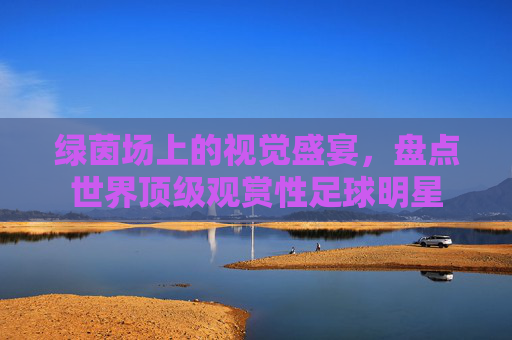 绿茵场上的视觉盛宴,盘点世界顶级观赏性足球明星