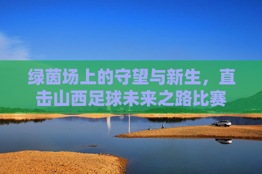 绿茵场上的守望与新生,直击山西足球未来之路比赛