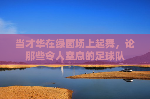 当才华在绿茵场上起舞,论那些令人窒息的足球队