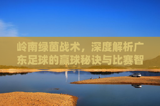 岭南绿茵战术,深度解析广东足球的赢球秘诀与比赛智慧