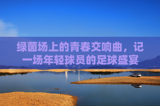 绿茵场上的青春交响曲,记一场年轻球员的足球盛宴
