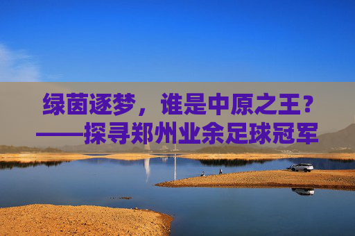 绿茵逐梦,谁是中原之王?——探寻郑州业余足球冠军的归属