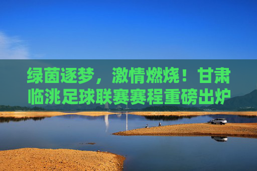 绿茵逐梦,激情燃烧!甘肃临洮足球联赛赛程重磅出炉,周末相约洮河之畔