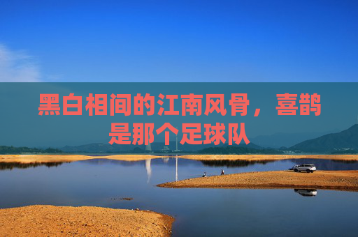 黑白相间的江南风骨，喜鹊是那个足球队