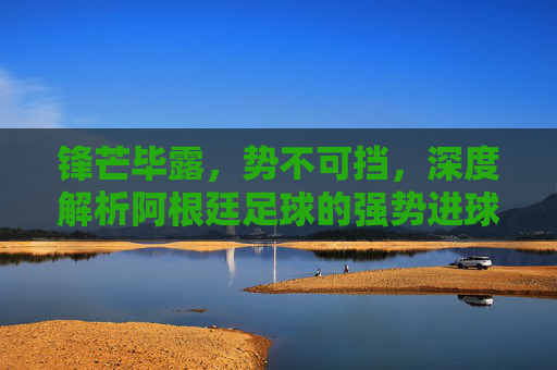 锋芒毕露,势不可挡,深度解析阿根廷足球的强势进球艺术