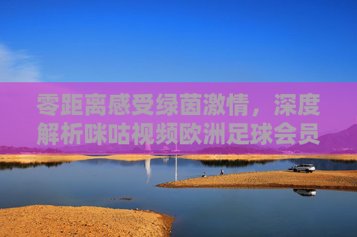 零距离感受绿茵激情,深度解析咪咕视频欧洲足球会员的极致观赛体验
