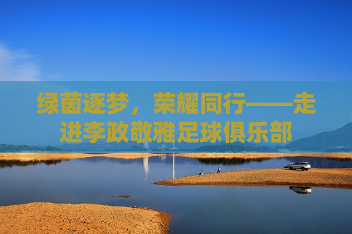 绿茵逐梦,荣耀同行——走进李政敬雅足球俱乐部