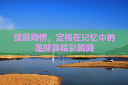 绿茵燃情,定格在记忆中的足球赛精彩瞬间