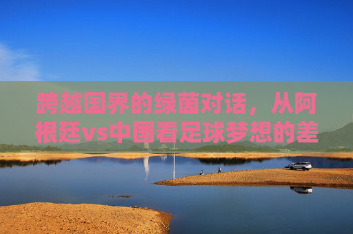 跨越国界的绿茵对话,从阿根廷vs中国看足球梦想的差距与追赶