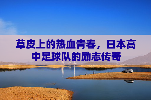 草皮上的热血青春,日本高中足球队的励志传奇