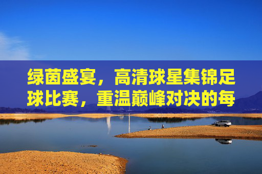 绿茵盛宴,高清球星集锦足球比赛,重温巅峰对决的每一个瞬间