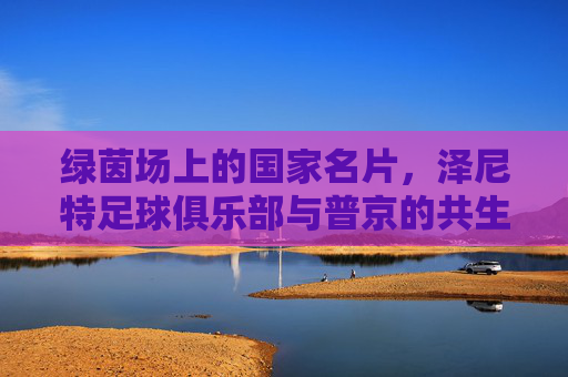 绿茵场上的国家名片,泽尼特足球俱乐部与普京的共生关系