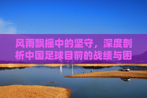 风雨飘摇中的坚守,深度剖析中国足球目前的战绩与困境
