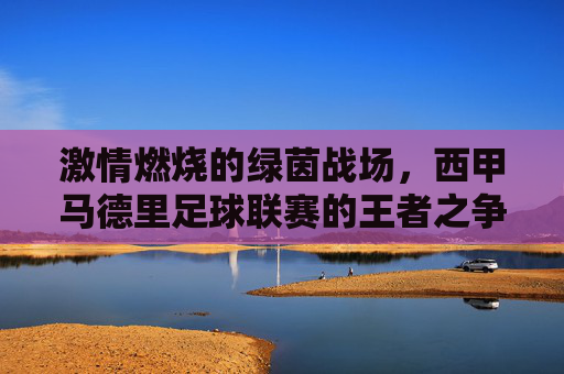 激情燃烧的绿茵战场,西甲马德里足球联赛的王者之争