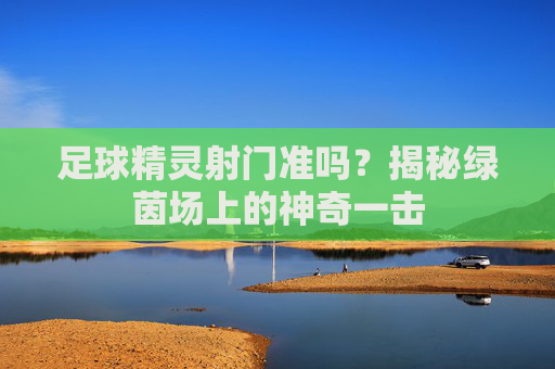 足球精灵射门准吗?揭秘绿茵场上的神奇一击