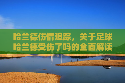 哈兰德伤情追踪,关于足球哈兰德受伤了吗的全面解读与未来展望