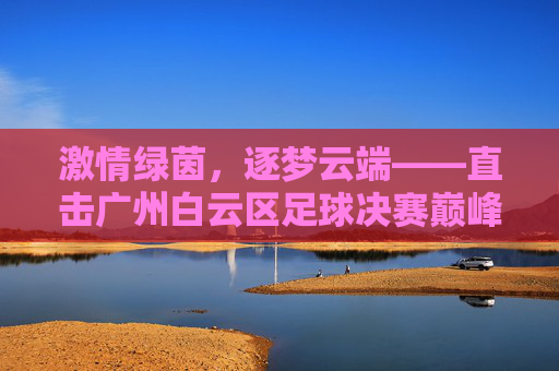 激情绿茵,逐梦云端——直击广州白云区足球决赛巅峰对决