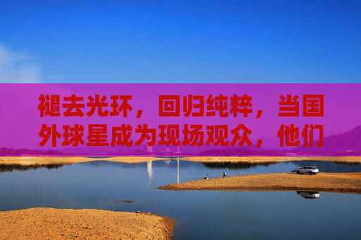 褪去光环，回归纯粹，当国外球星成为现场观众，他们眼中的足球是什么模样？