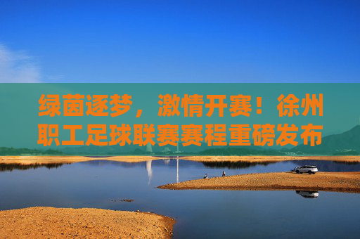 绿茵逐梦,激情开赛!徐州职工足球联赛赛程重磅发布