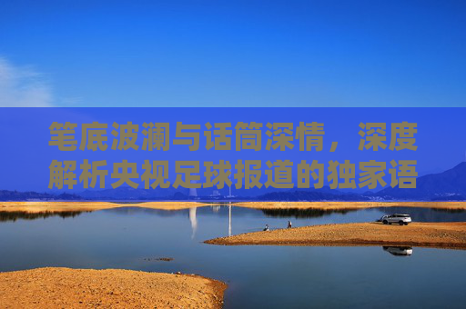 笔底波澜与话筒深情,深度解析央视足球报道的独家语态
