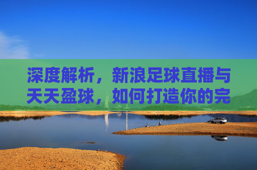 深度解析，新浪足球直播与天天盈球，如何打造你的完美观赛体验