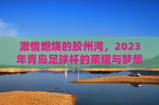 激情燃烧的胶州湾，2023年青岛足球杯的荣耀与梦想