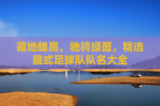 藏地雄鹰，驰骋绿茵，精选藏式足球队队名大全