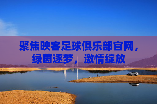 聚焦映客足球俱乐部官网，绿茵逐梦，激情绽放