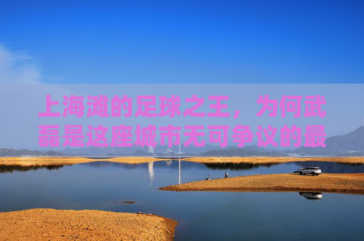 上海滩的足球之王,为何武磊是这座城市无可争议的最火明星?