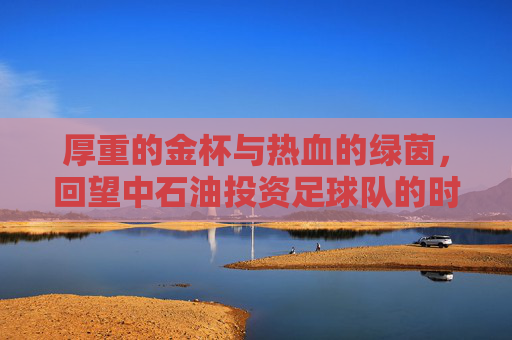 厚重的金杯与热血的绿茵,回望中石油投资足球队的时代记忆