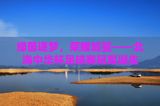绿茵逐梦，荣耀加冕——北海中华杯足球赛冠军诞生