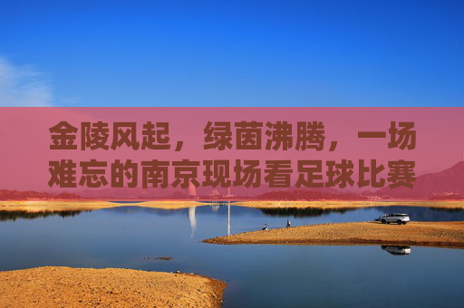金陵风起,绿茵沸腾,一场难忘的南京现场看足球比赛体验