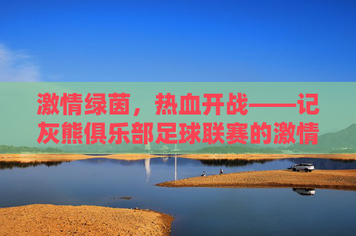 激情绿茵,热血开战——记灰熊俱乐部足球联赛的激情与荣耀