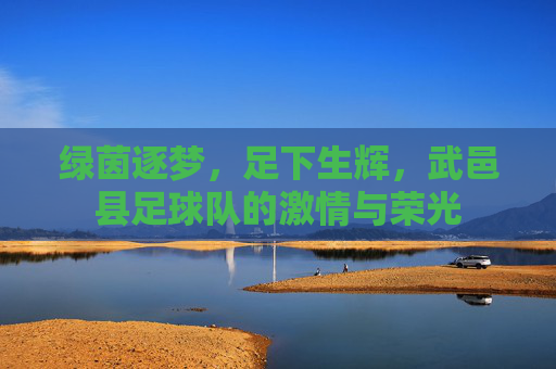 绿茵逐梦,足下生辉,武邑县足球队的激情与荣光