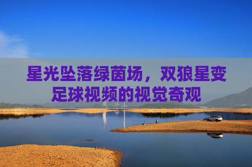 星光坠落绿茵场,双狼星变足球视频的视觉奇观
