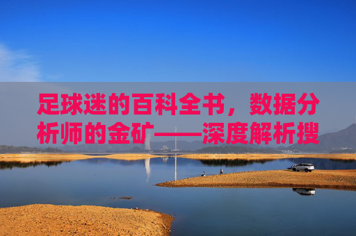足球迷的百科全书,数据分析师的金矿——深度解析搜狐体育足球数据库