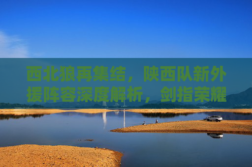 西北狼再集结,陕西队新外援阵容深度解析,剑指荣耀