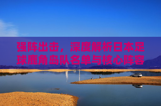 强阵出击，深度解析日本足球鹿角岛队名单与核心阵容