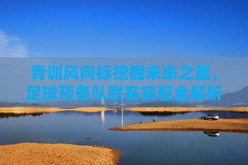 青训风向标挖掘未来之星，足球预备队联赛赛程全解析