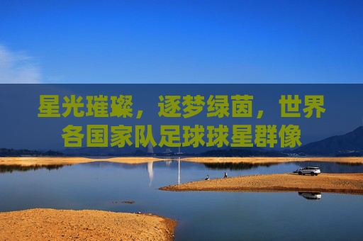 星光璀璨,逐梦绿茵,世界各国家队足球球星群像