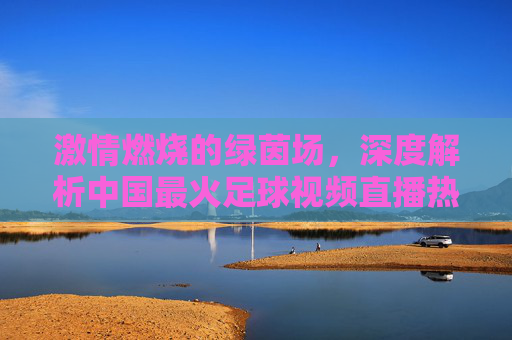 激情燃烧的绿茵场,深度解析中国最火足球视频直播热潮