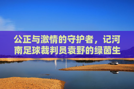 公正与激情的守护者，记河南足球裁判员袁野的绿茵生涯