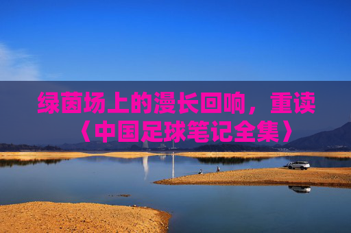 绿茵场上的漫长回响，重读〈中国足球笔记全集〉