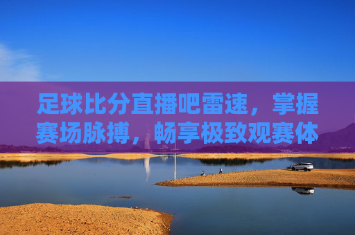 足球比分直播吧雷速,掌握赛场脉搏,畅享极致观赛体验