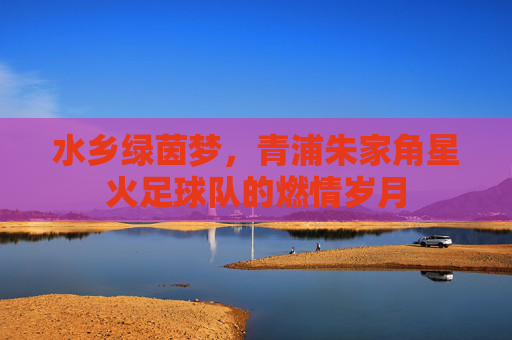 水乡绿茵梦,青浦朱家角星火足球队的燃情岁月
