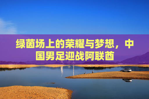绿茵场上的荣耀与梦想,中国男足迎战阿联酋