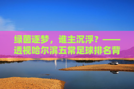 绿茵逐梦,谁主沉浮?——透视哈尔滨五常足球排名背后的激情与挑战