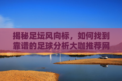 揭秘足坛风向标,如何找到靠谱的足球分析大咖推荐网站?